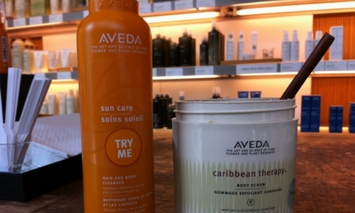 Aveda5-500x300